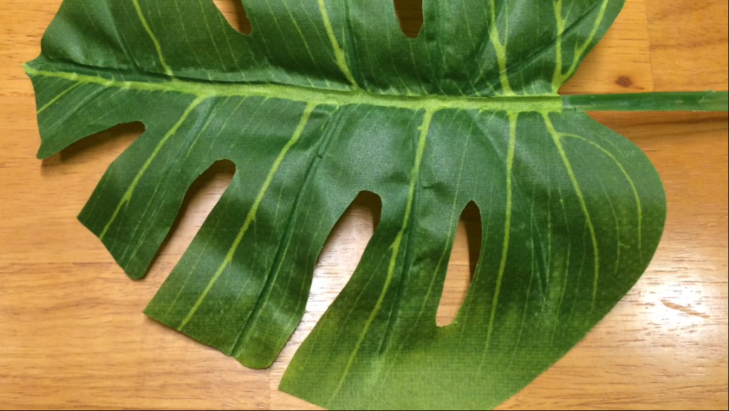 daiso-monstera-leaf5
